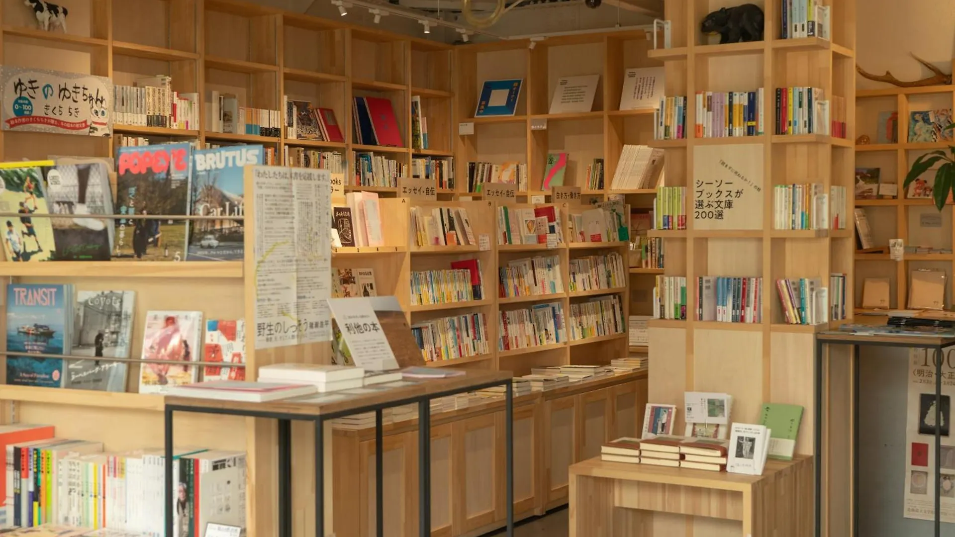 アンタップト ホステル 札幌市