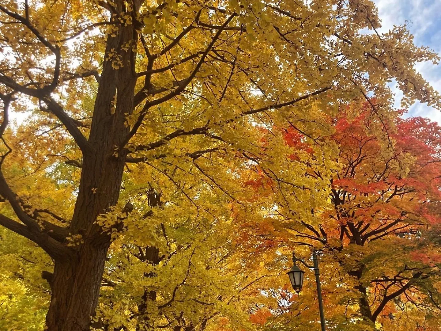 アンタップト ホステル 札幌市 0*,